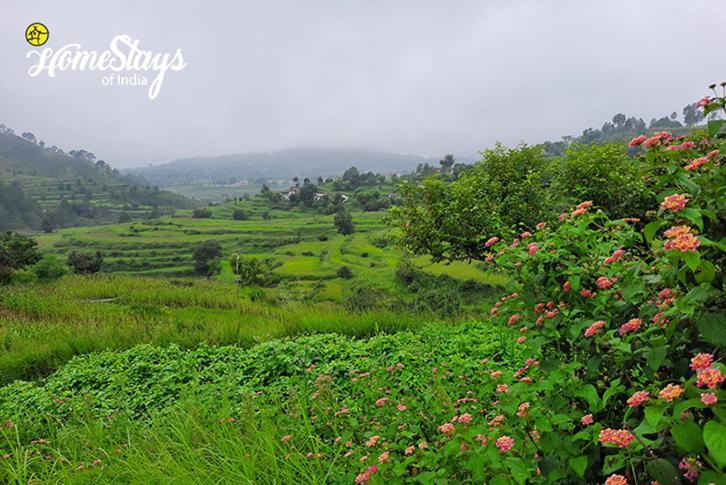 Dwarahat Village Farmstay- Babaji'S Cave Ngoại thất bức ảnh